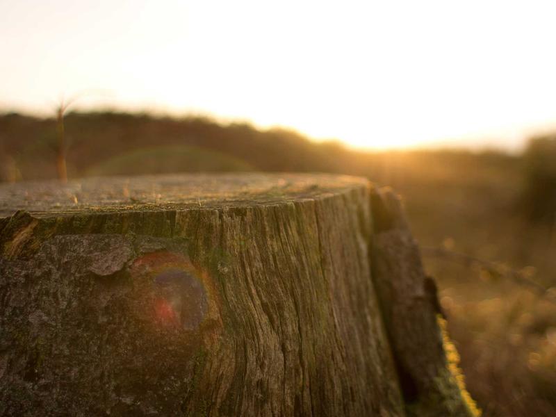 sudoku slice and dice screenshot 5